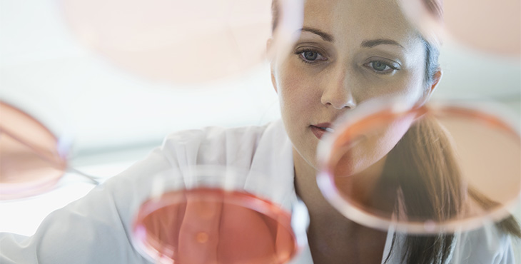 laboratory-test-catalog_730x370.jpg