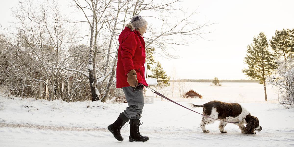 Senior woman walking dog
