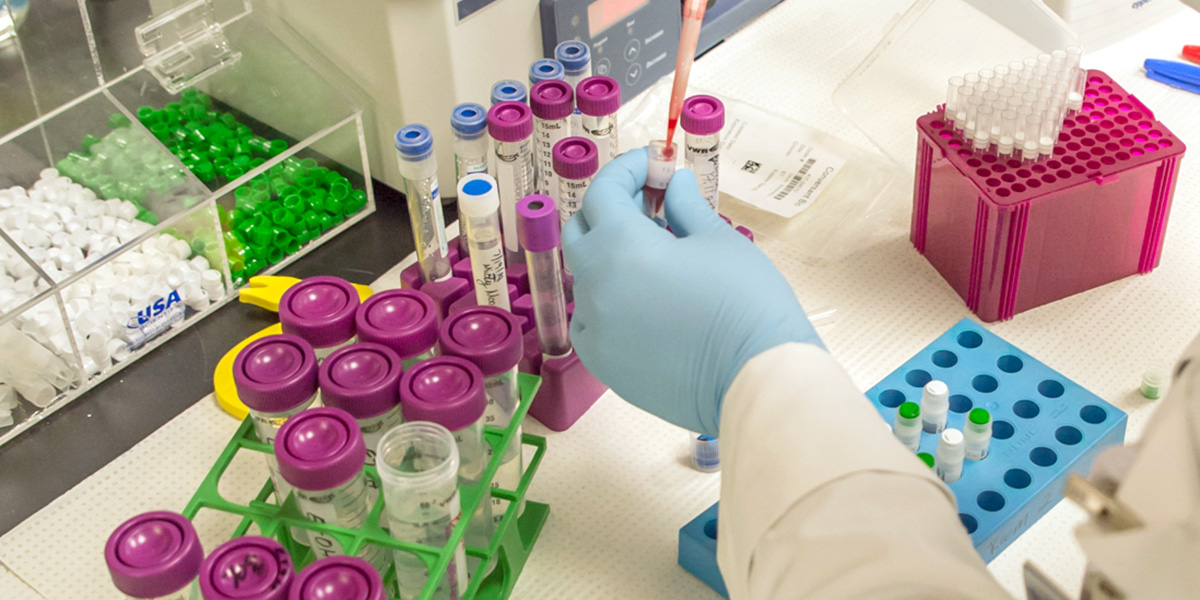 A picture of hands using a pipette in a research lab is used to represent Spartanburg Regional Healthcare System — Gibbs Cancer Center, Bon Secours St. Francis Health System and AnMed Health being awarded a $14,402,940 grant to fight cancer.