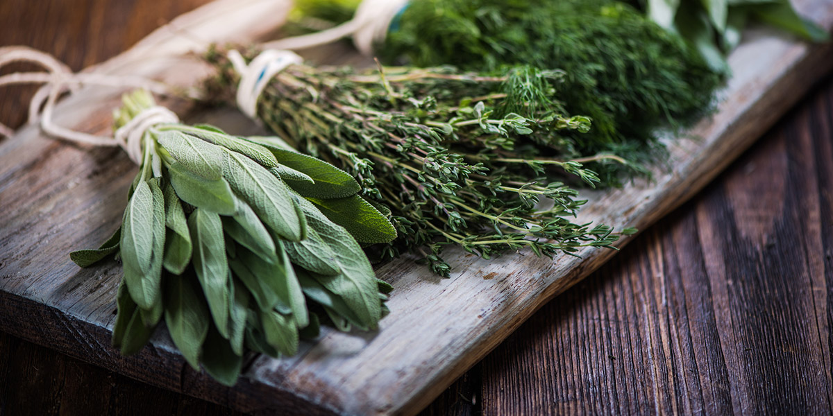 Basil,sage,dill,and thyme herbs