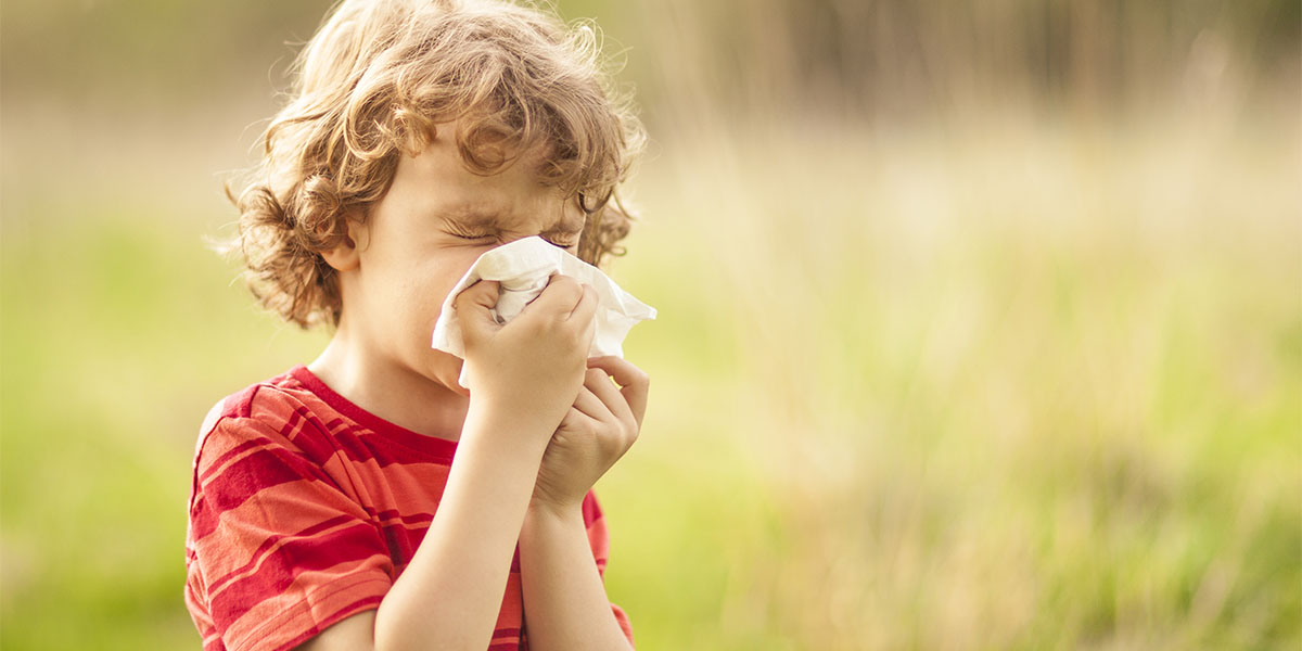 Little boy sneezing