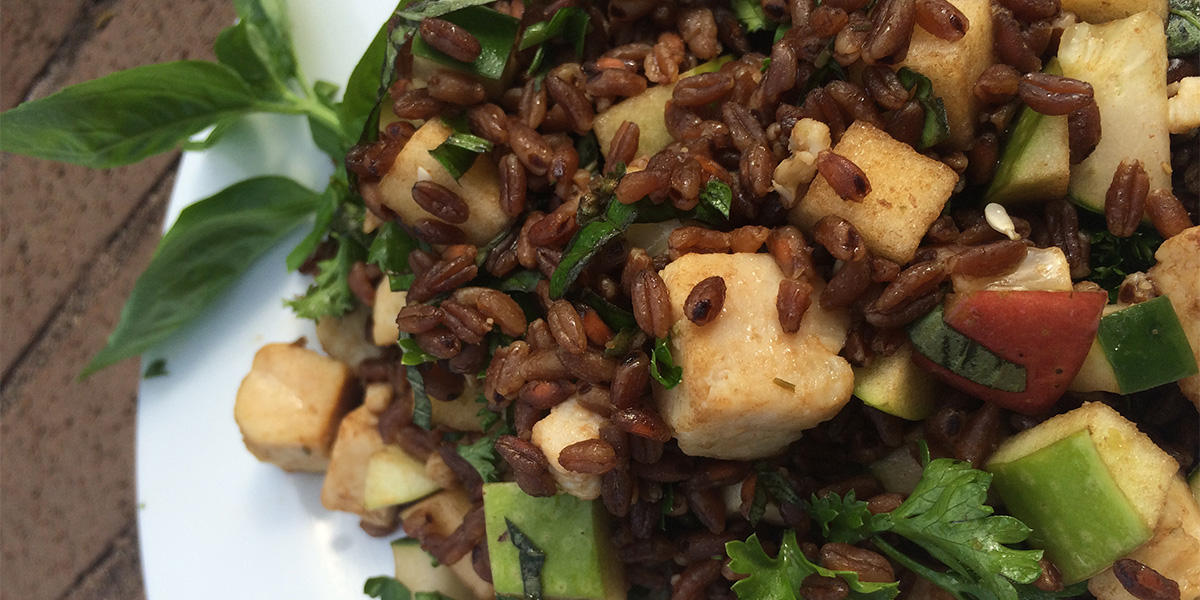 Apple farro salad with chicken