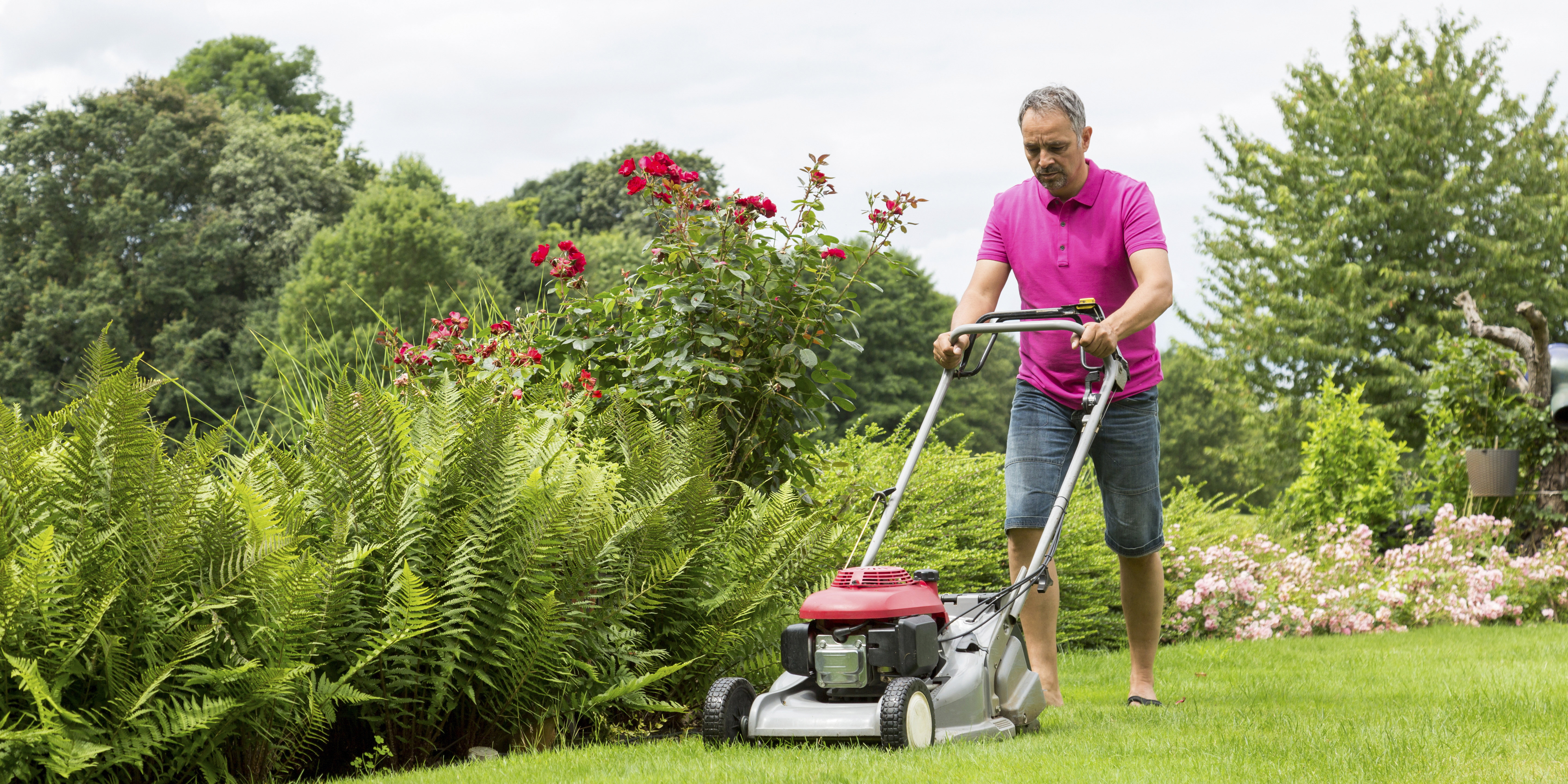 Man lawnmowing