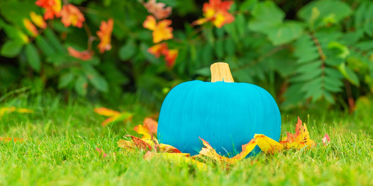 Halloween teal pumpkin outside